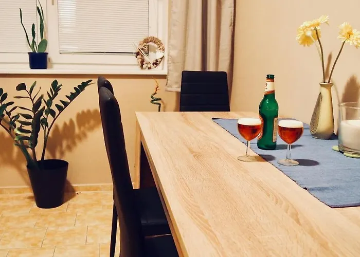Cozy Apartment At River Labe Near Center And Train